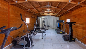 Resa Estates vastgoed te koop Ibiza Geraldine finca san lorenzo noorden gym fitness.jpg